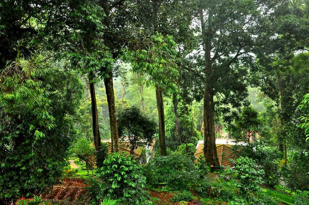 The Tall Trees Munnar Resort