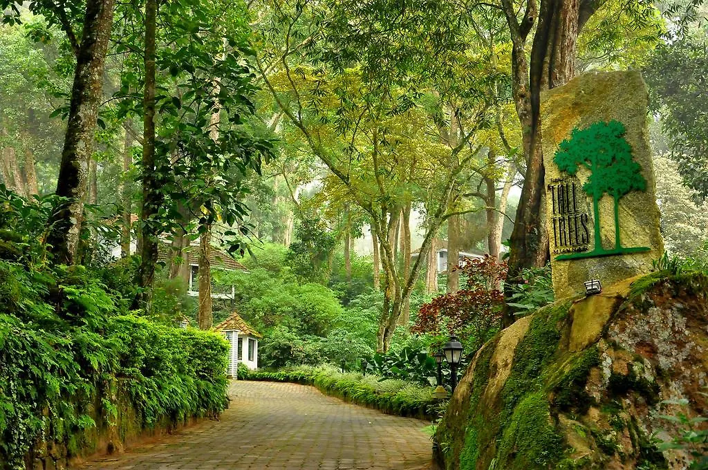 The Tall Trees Munnar 4*,