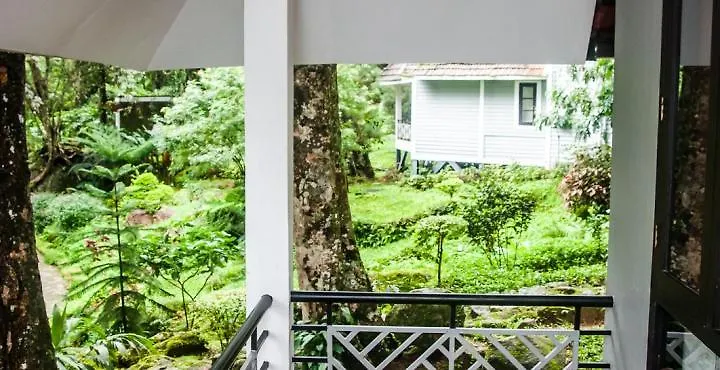**** Resort The Tall Trees Munnar India