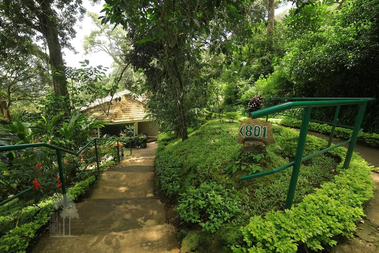 The Tall Trees Munnar Resort