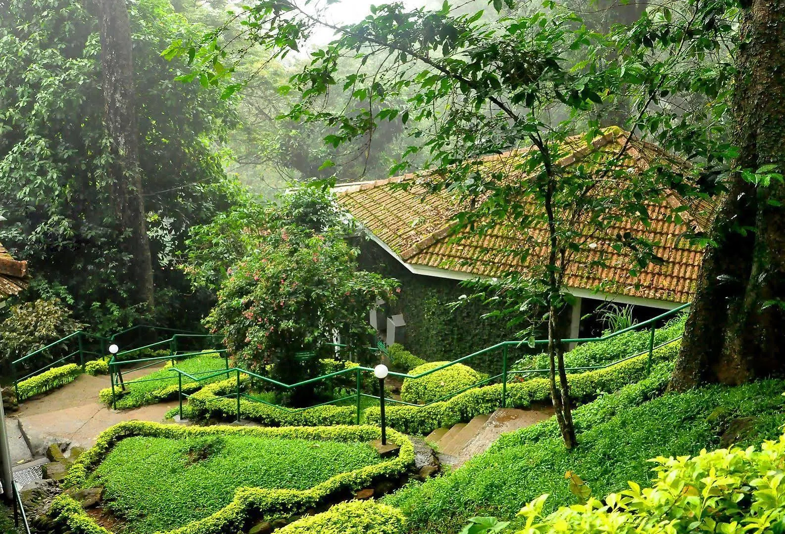 The Tall Trees Munnar 4*,