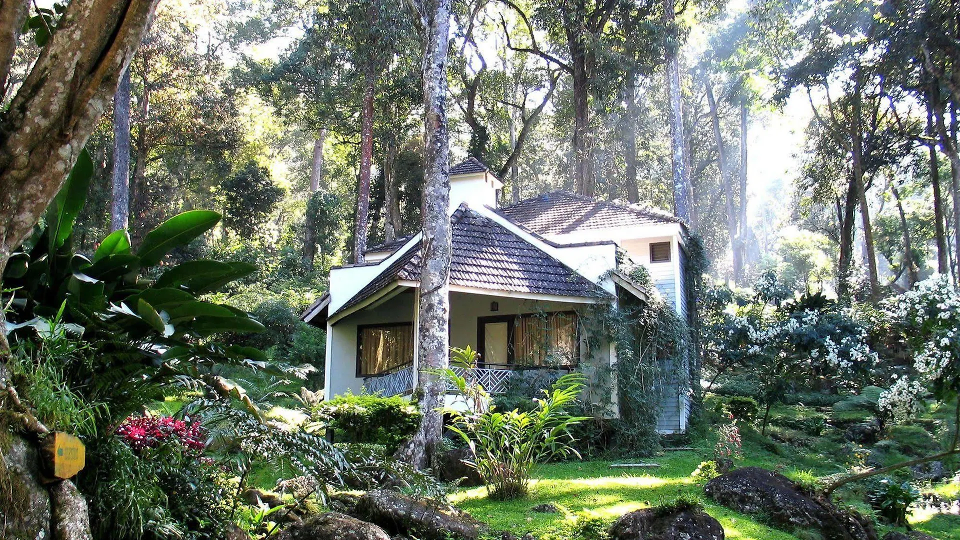 Resort The Tall Trees Munnar