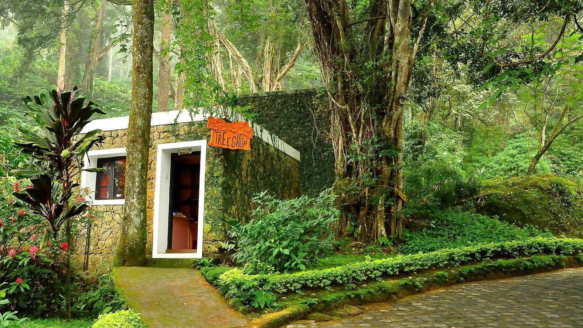 The Tall Trees Munnar Resort