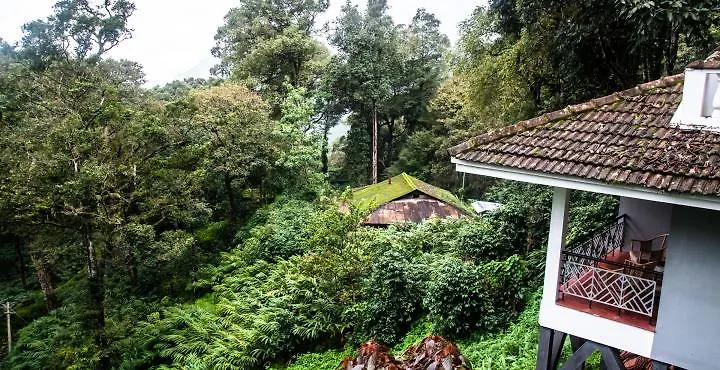 The Tall Trees Munnar Resort