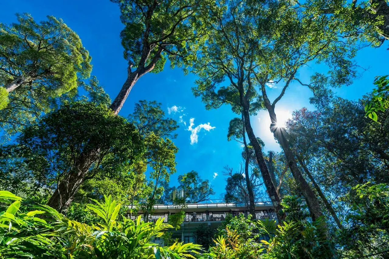 **** Resort The Tall Trees Munnar India