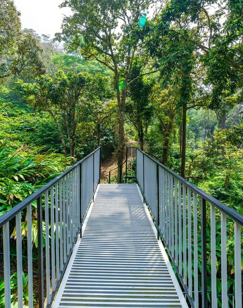 The Tall Trees Munnar